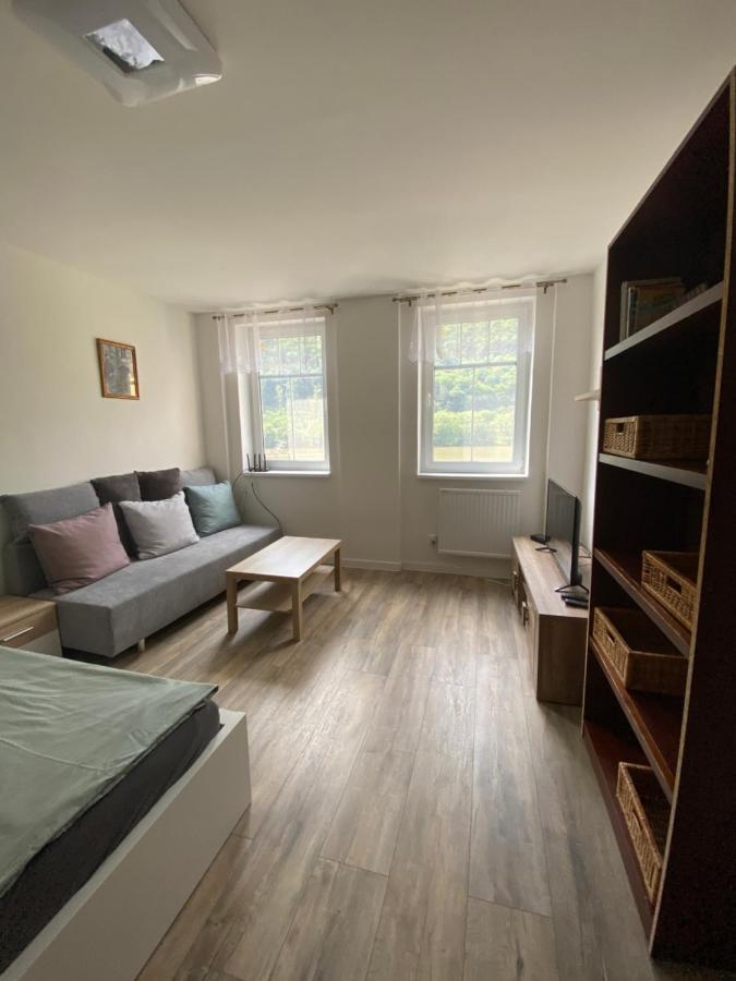 Apartmány U Viaduktu 46 Usti nad Labem Exterior foto